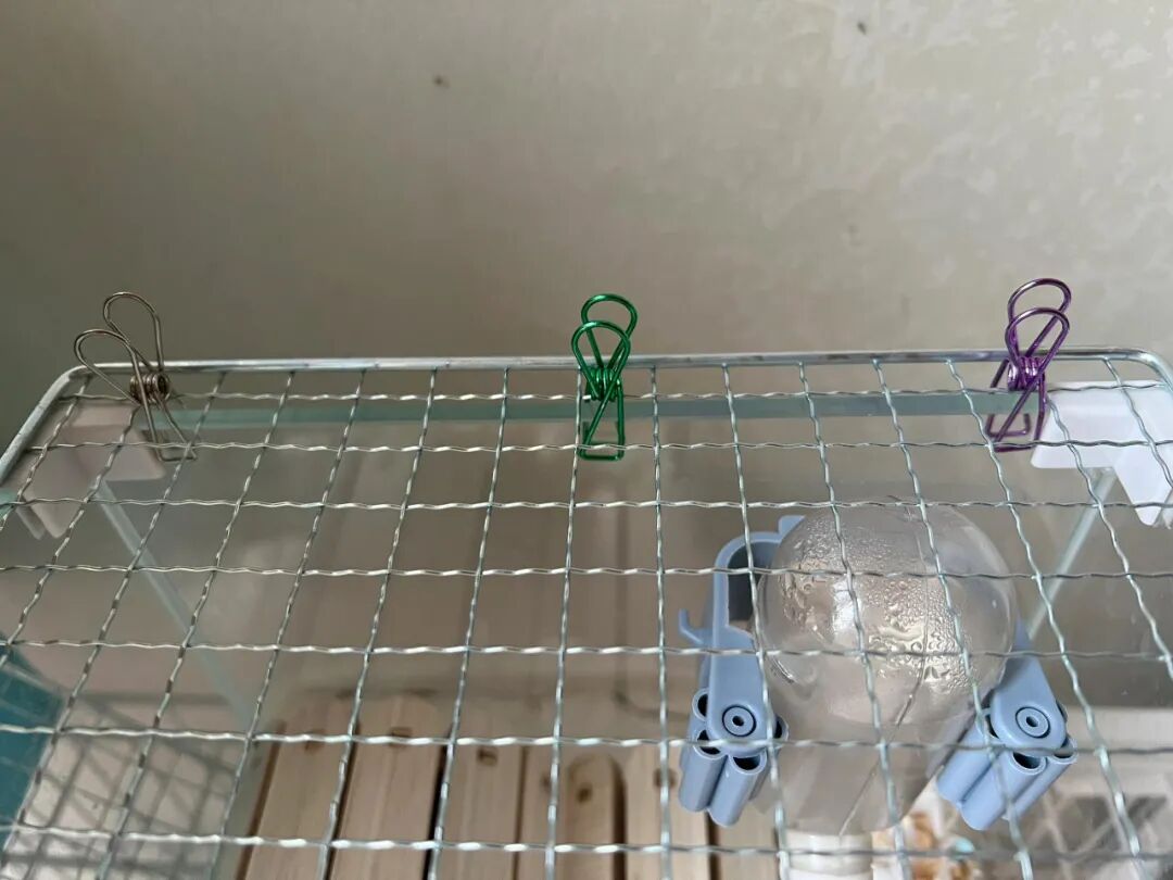 烧烤器怎么做__烧烤神器多少钱一台