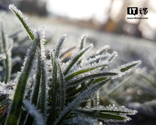 今日霜降天气寒凉愿君心暖__讲今日霜降