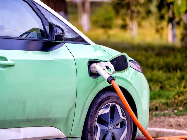 9月销量榜出炉,买油车不是蠢,而是明智之选-有驾