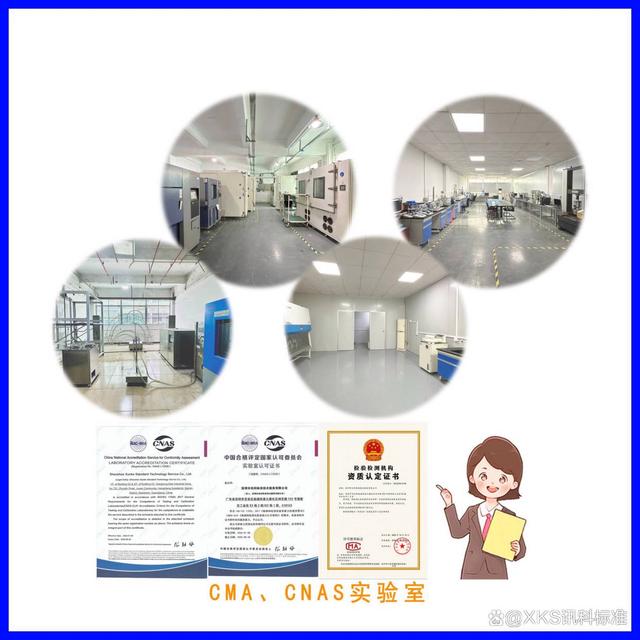 电机控制器超速测试符合 QC/T 896 标准-有驾