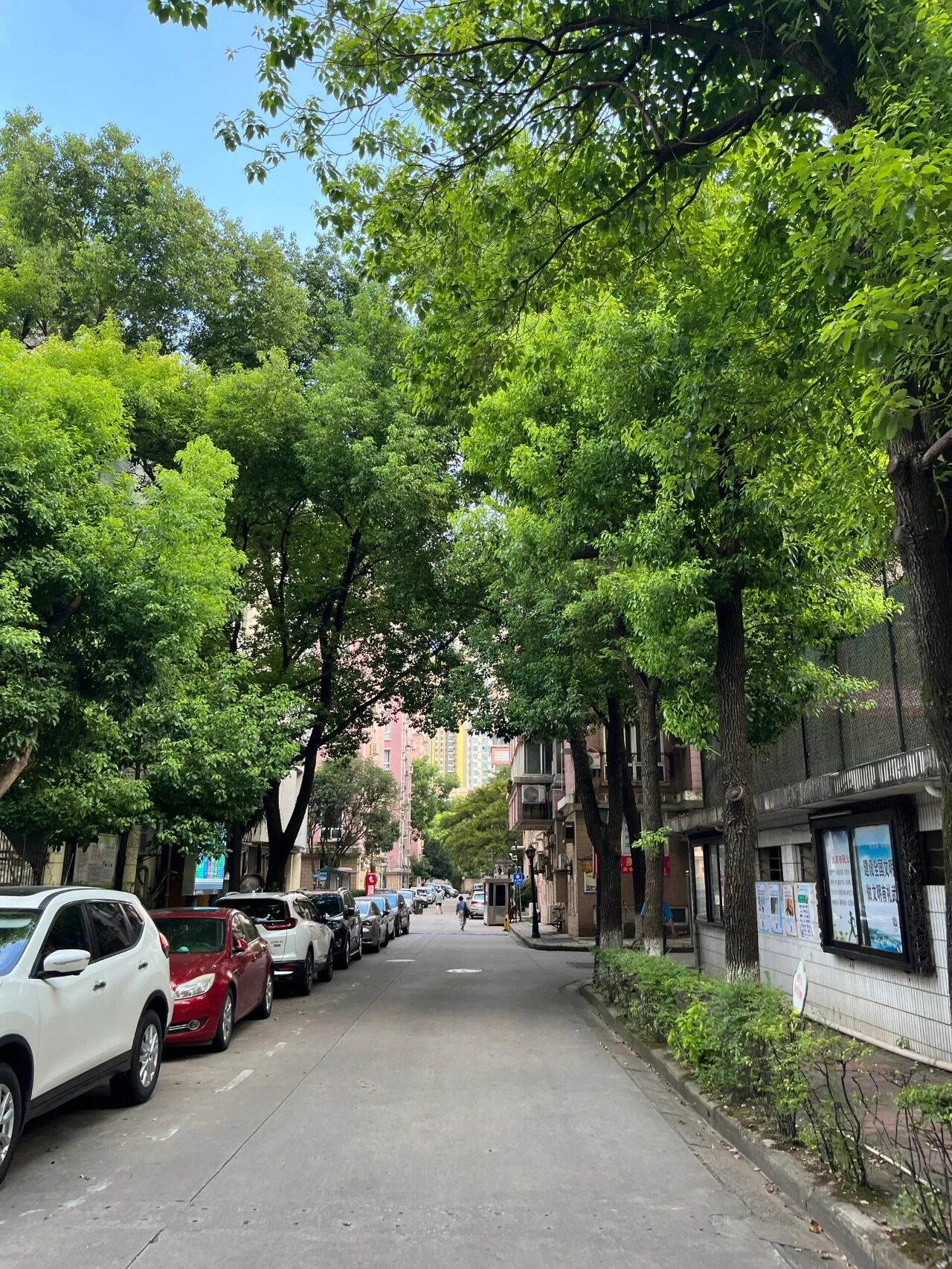 老小区电梯入户__电梯老房子