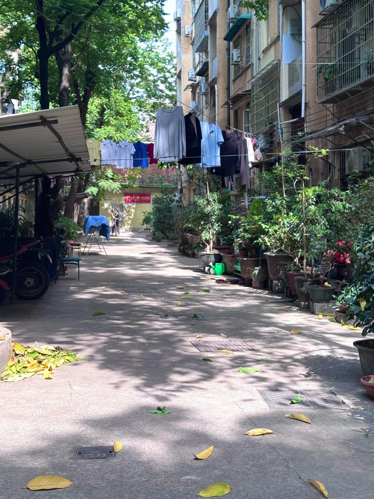 _老小区电梯入户_电梯老房子