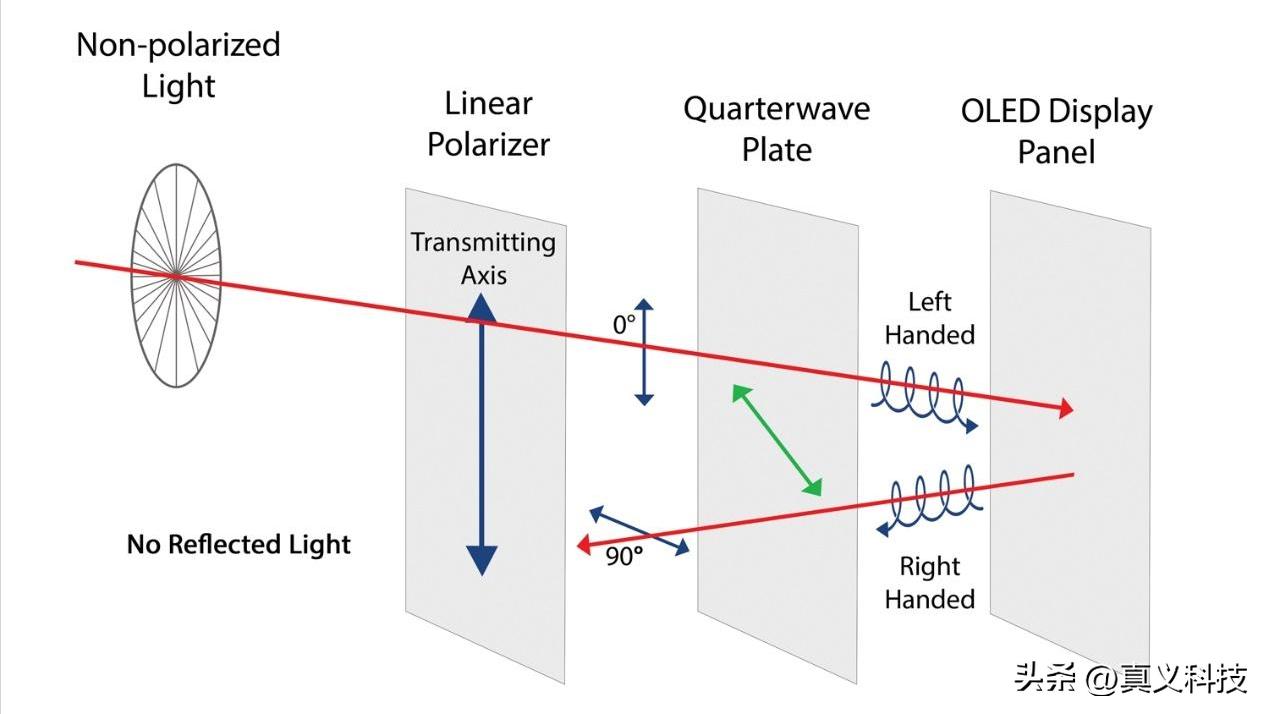 iQOO15竟活成了一加15最想成为的样子？蓝厂虎儿战斗力究竟有多强_iQOO15竟活成了一加15最想成为的样子？蓝厂虎儿战斗力究竟有多强_