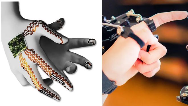 新型人工肌肉问世：由 AI 驱动“学习”人类动作，既自然又灵敏__新型人工肌肉问世：由 AI 驱动“学习”人类动作，既自然又灵敏