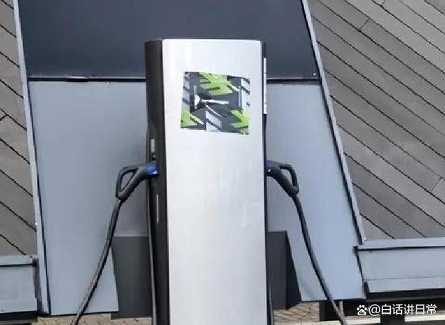 花30万买车，却配了千元塑料充电桩？-有驾