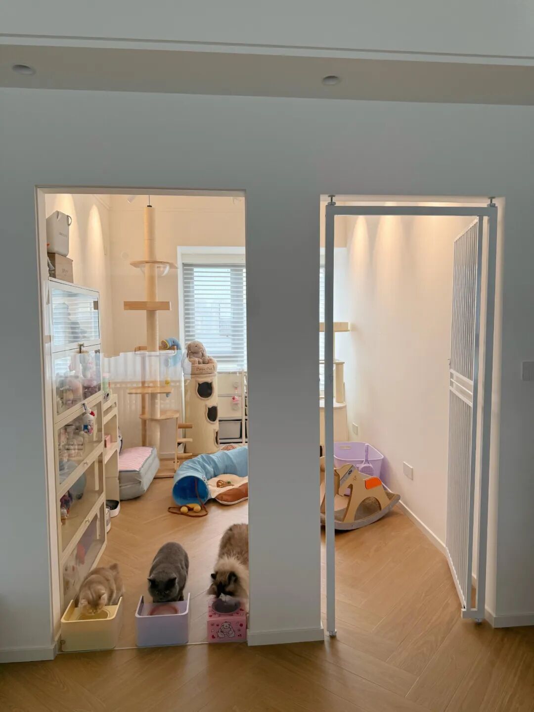 折套装衣服的方法__服装折纸大全视频教程