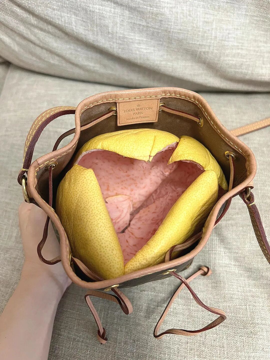 “柚子”吃完只能把皮扔掉?看完网友的脑洞后,我又悄悄捡回来了_“柚子”吃完只能把皮扔掉?看完网友的脑洞后,我又悄悄捡回来了_