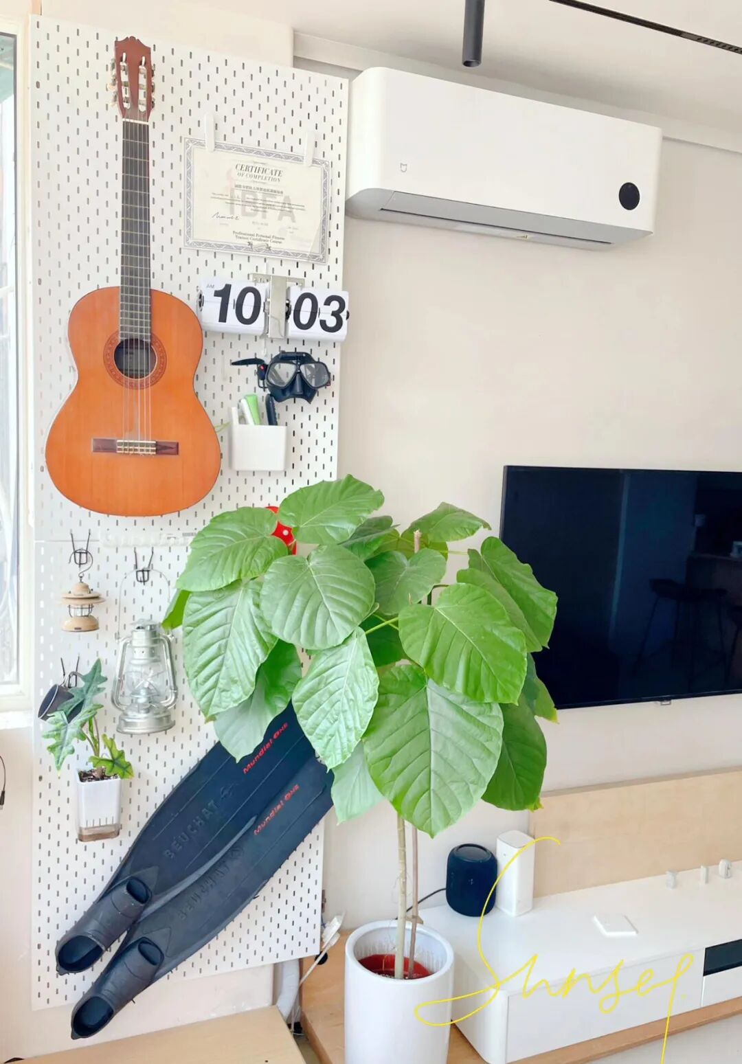 空调管子太丑怎么办?看了网友家的做法后,发现全是绝妙点子_空调管子太丑怎么办?看了网友家的做法后,发现全是绝妙点子_