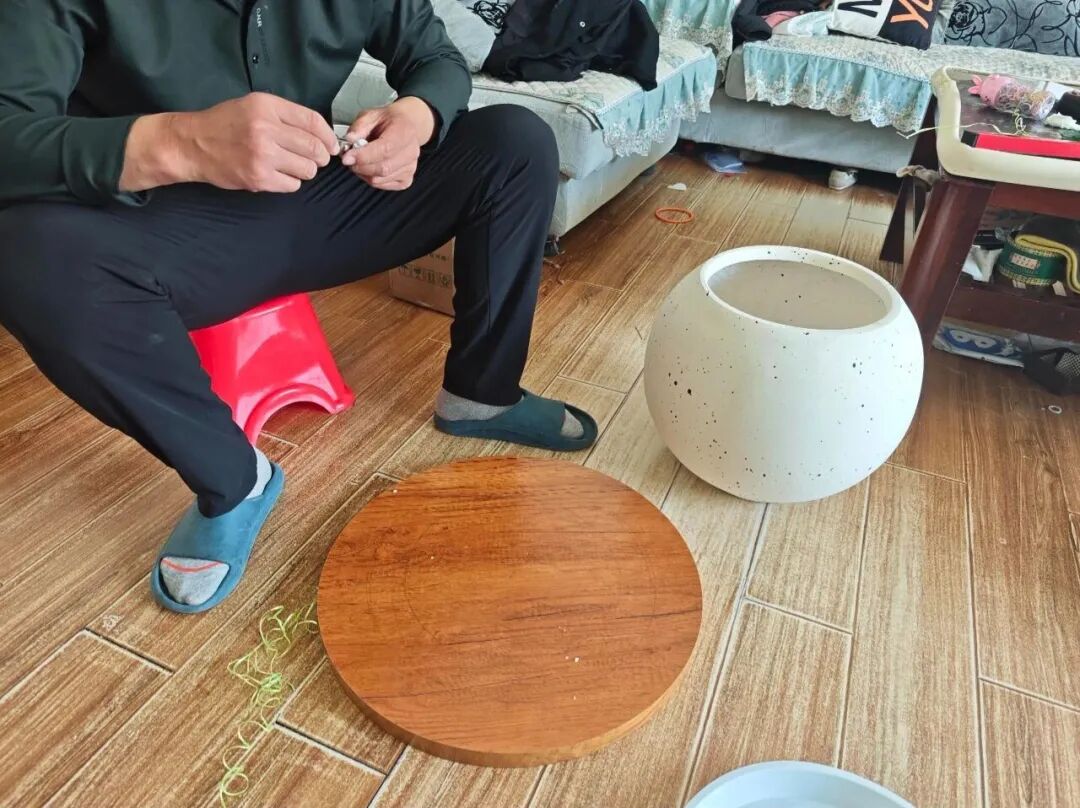 闲置花盆妙用__闲置物品做花盆