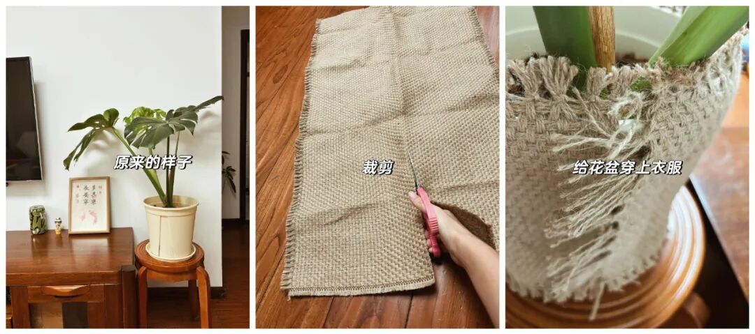 闲置花盆妙用_闲置物品做花盆_