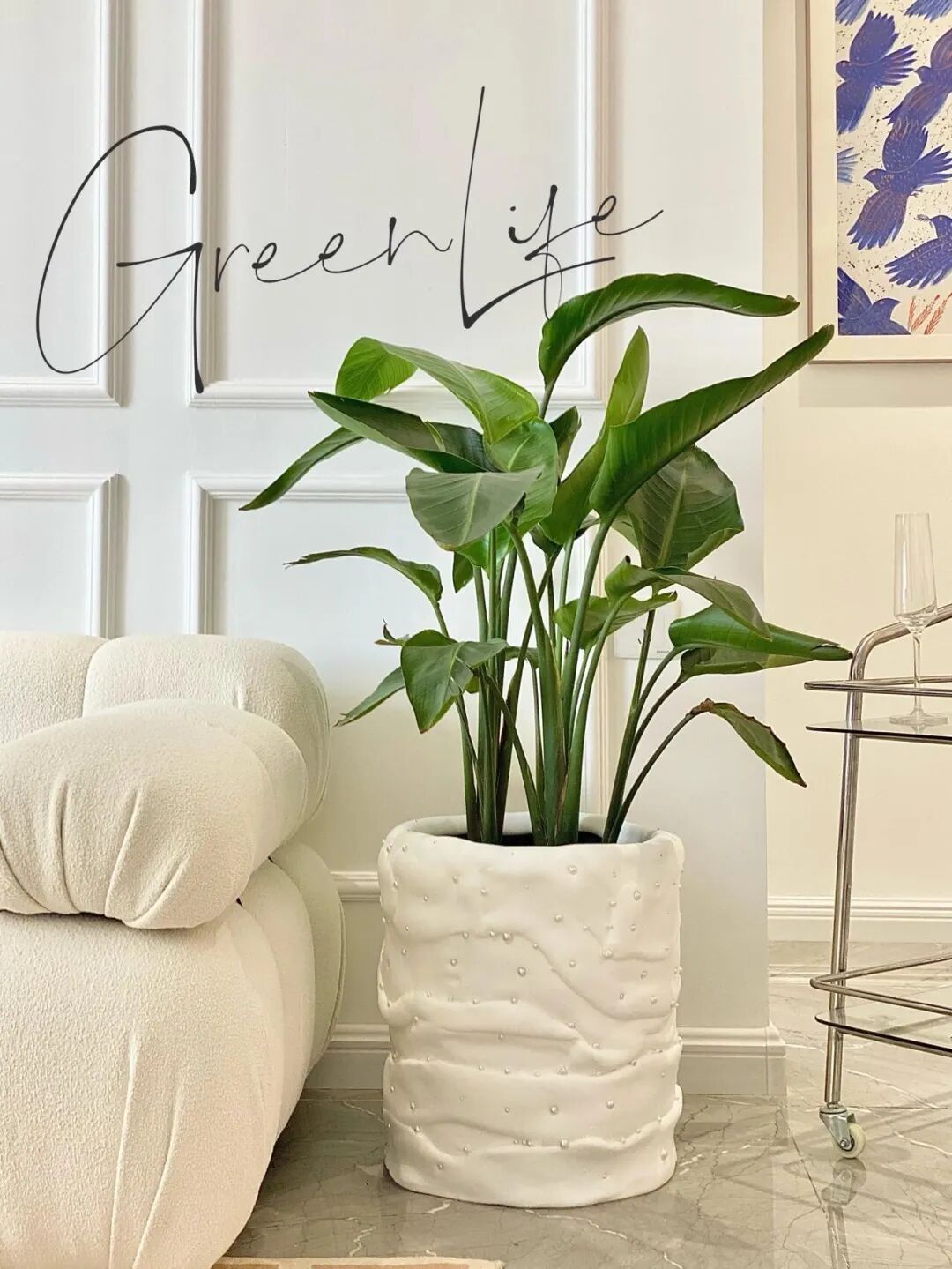 闲置物品做花盆_闲置花盆妙用_