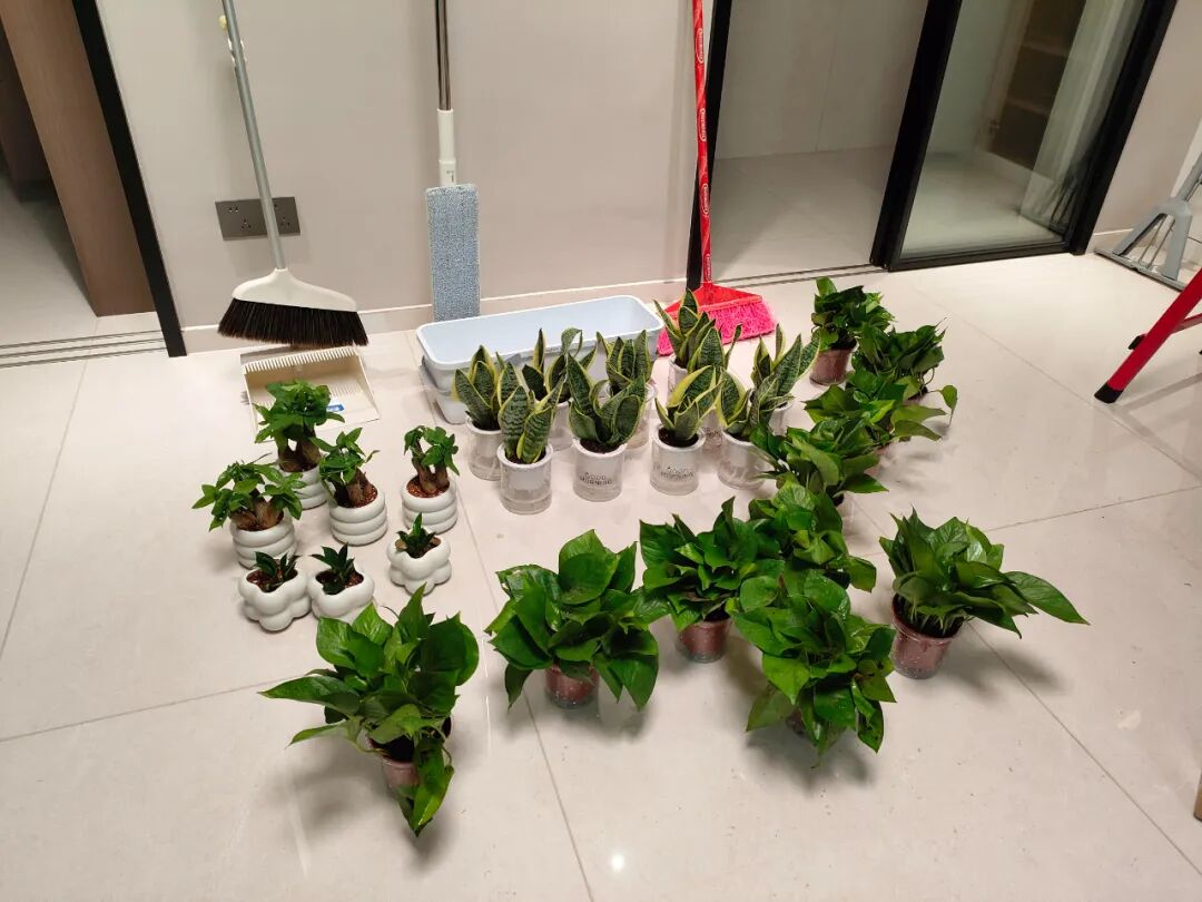 人疯了脑子什么感觉_浪费脑力_