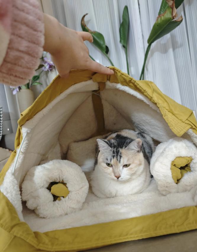 人疯了脑子什么感觉_浪费脑力_