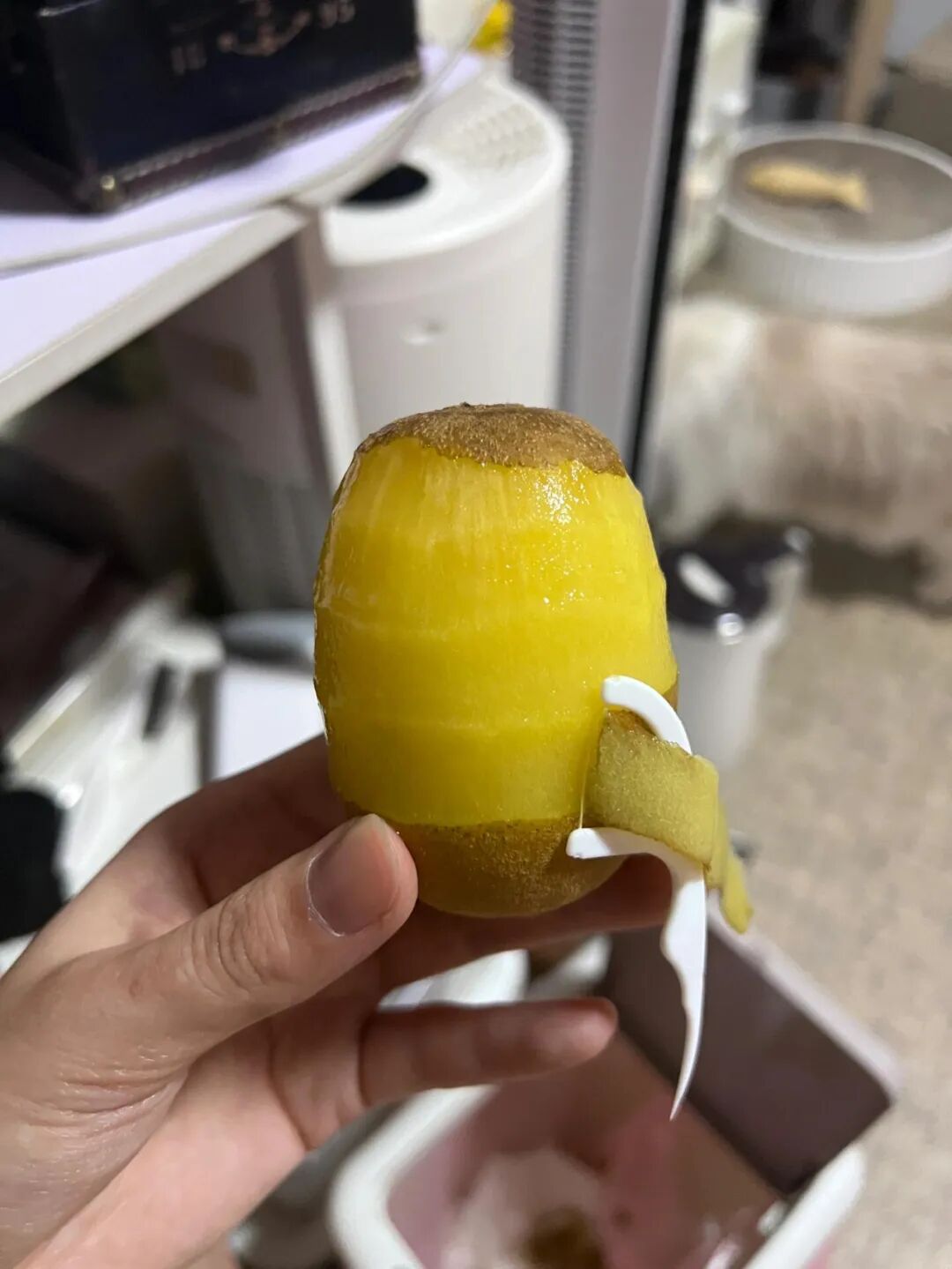 被年轻人的“邪修妙招”惊到了!一分钱不花,就解决了生活痛点__邪令是什么意思