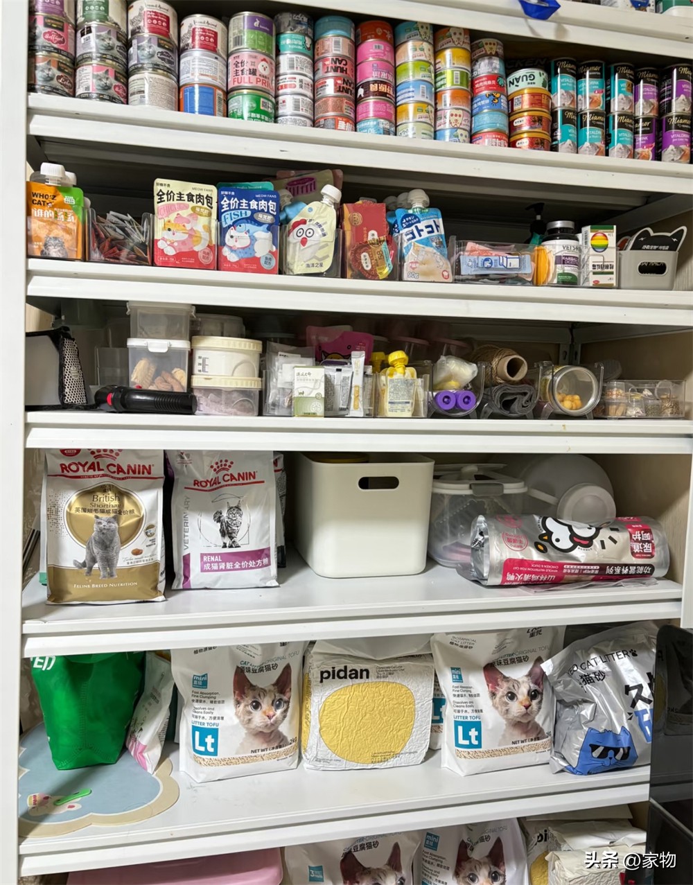 _改造阳台养猫_阳台改猫房