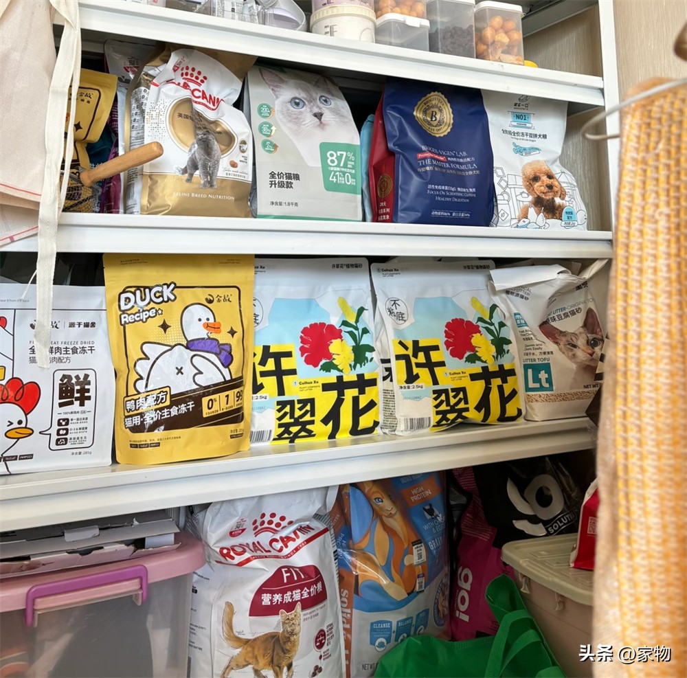 改造阳台养猫_阳台改猫房_