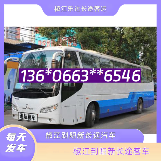 椒江到阳新客车汽车-椒江到阳新客车汽车-宠物托运-有驾