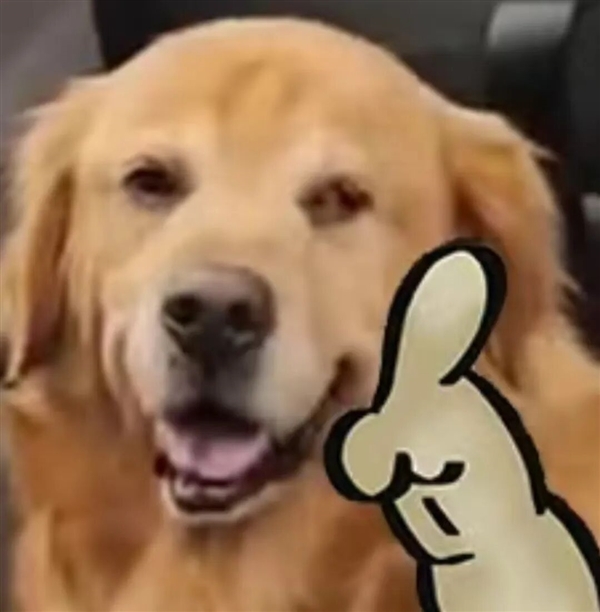 新国标要来了：你可能再也买不到9块9的充电宝了