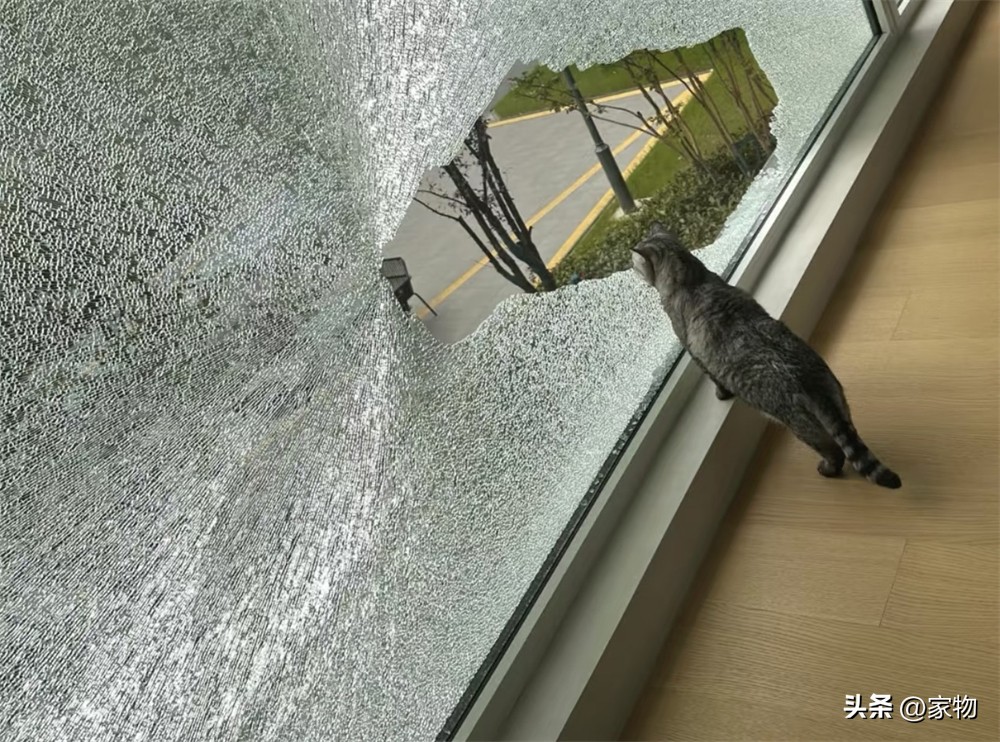 落地窗网红照_股圈链敢用吗_