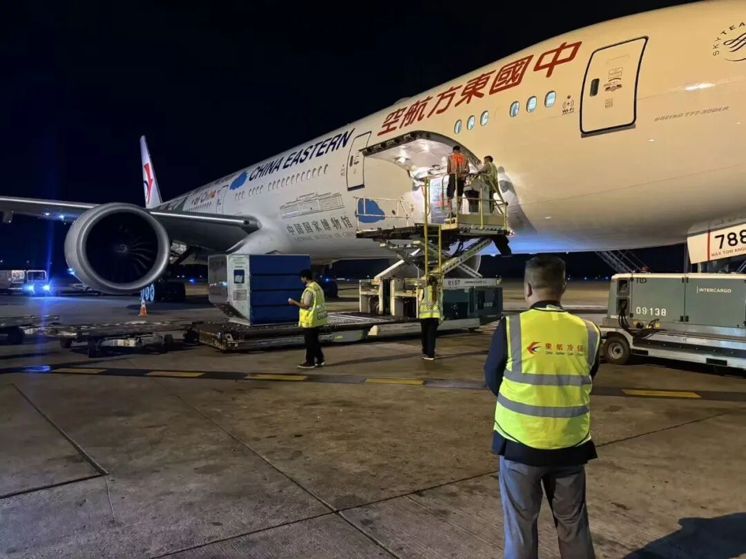 南美东航线的主要港口__南航中东航线