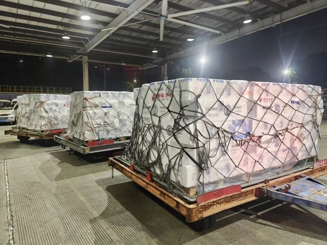 _南美东航线的主要港口_南航中东航线