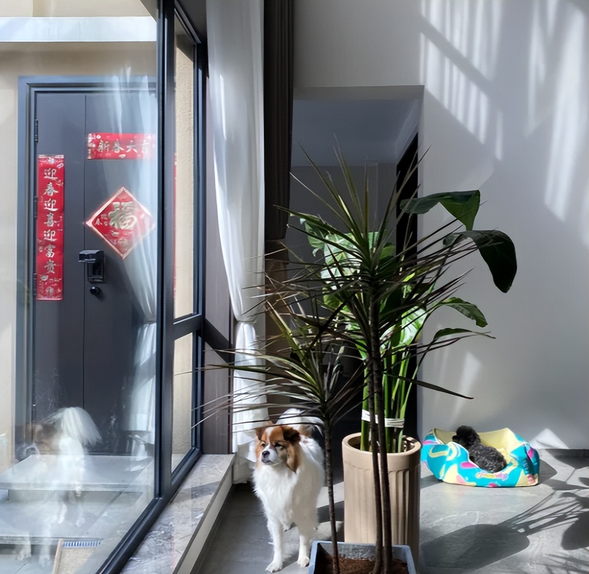 楼层的说法一穷二白_那些楼层在穷也不能买_