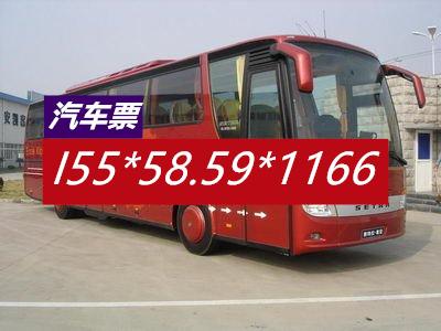 招远到温岭客车大巴-长途客车前程无阻-有驾